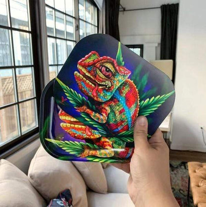 Cloud 9 Chameleon 3D Roll N Go Bundle